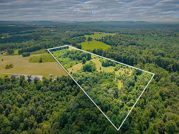 11th image of this home