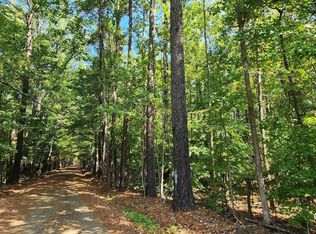 County Road 1011, Center, TX 75935