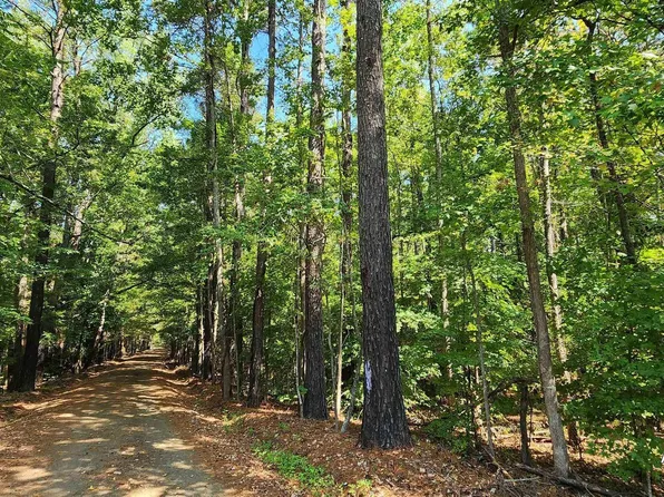 County Road 1011, Center, TX 75935