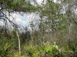 Vacant Sw Hike Lake Rd, Madison, FL 32340