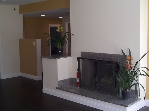 Living Room Fireplace