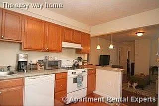 Apartment Rental Experts