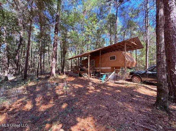 427 Ginntown Rd, Tylertown, MS 39667