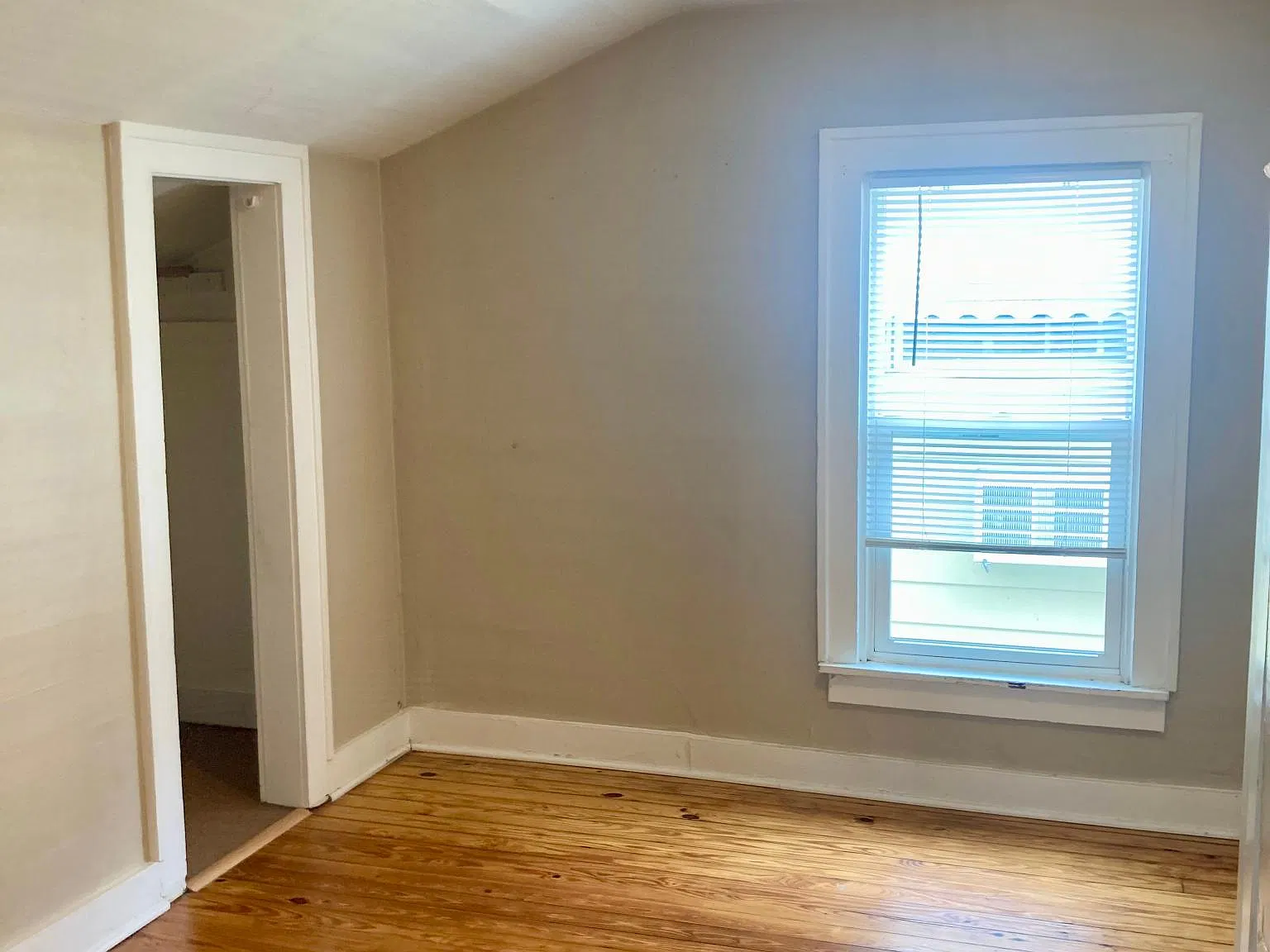1 bed, 550 sqft, $850 — Photo 2