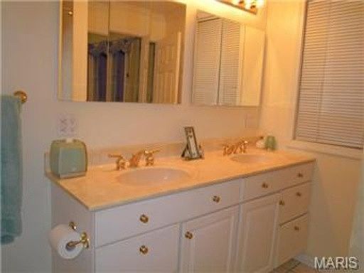 Master Bath Double Sinks Vanity