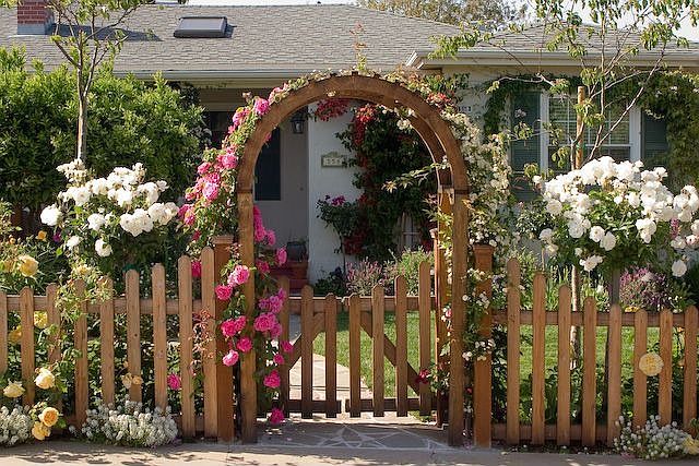 Front view: Arbor & entrance during full bloom