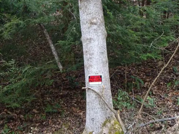 900 Billy Branch Rd, Genoa, WV 25517