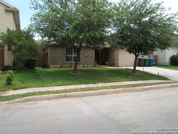 2nd image of 4114 Chinkapin Oak