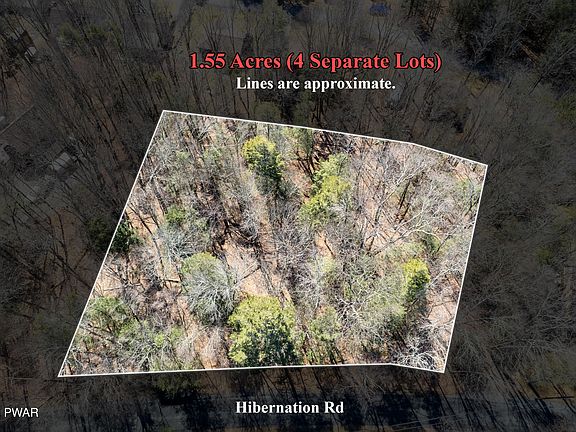 2nd image of 924-927 Hibernation Rd