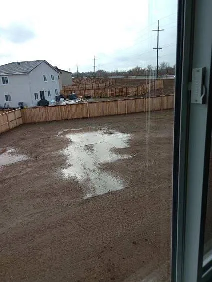 Backyard 1