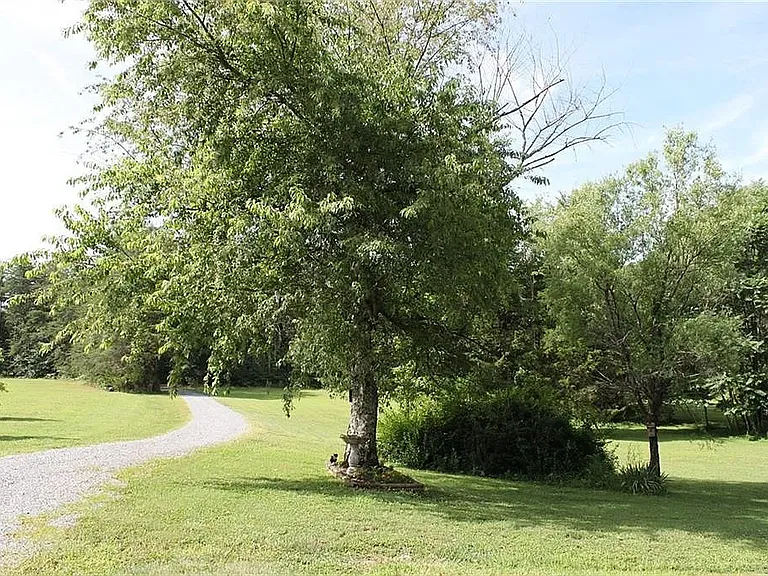 3764 Robinson Rd — Photo 21