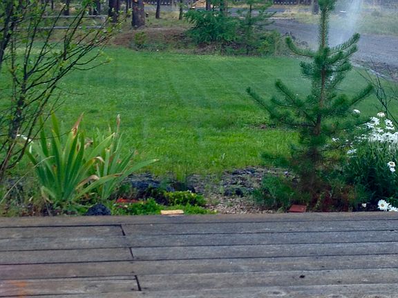 2nd image of 17364 Kingfisher Dr
