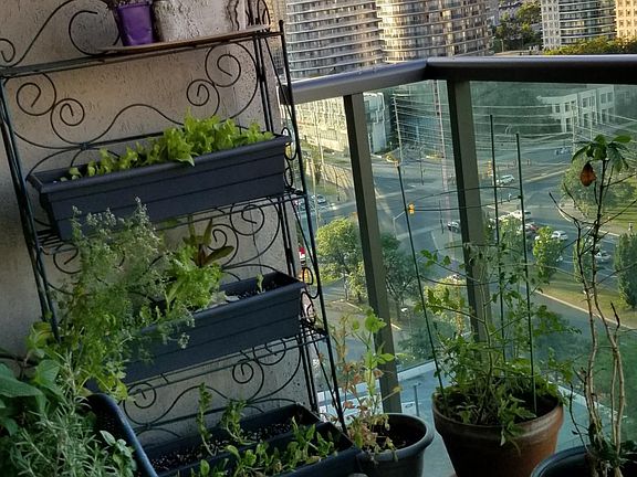 Balcony view