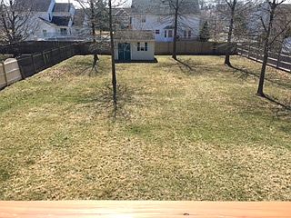 Back yard