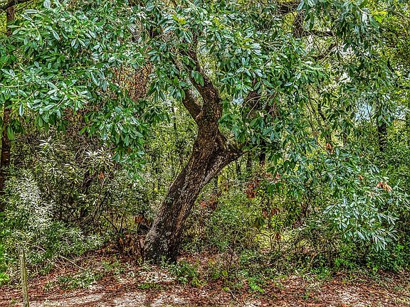 4th image of Lot 47 Hunters Oak Ct.