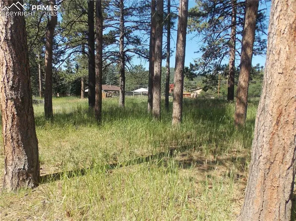 L6-B2 Fairview St, Woodland Park, CO 80863
