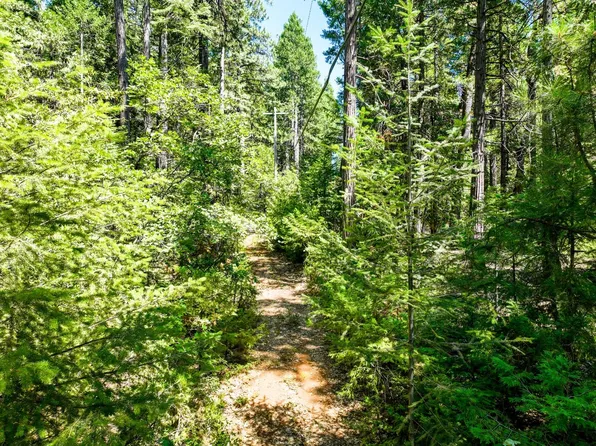 13310 Willow Valley Rd, Nevada City, CA 95959