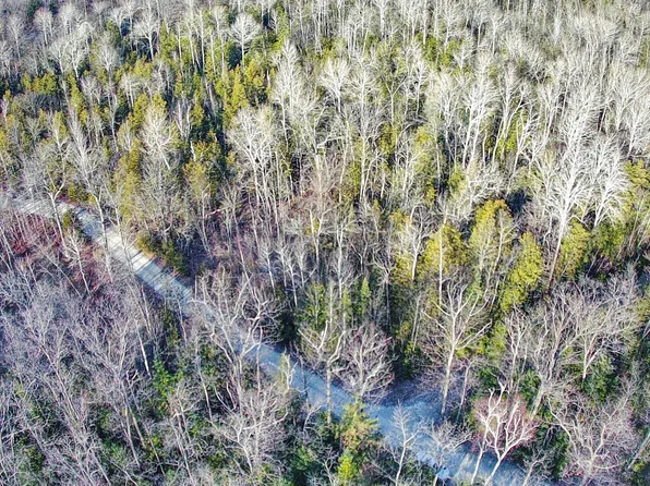 Birch Ln, Egg Harbor, WI 54209