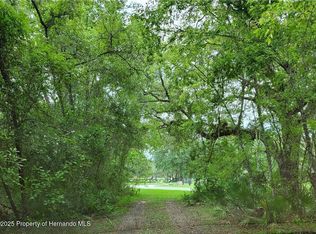 9001 Treiman Blvd, Webster, FL 33597