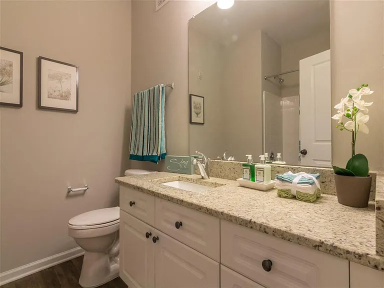 The Pointe at Suwanee Station — Photo 36