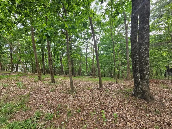 0 Ridgeview Dr #8059, Jasper, GA 30143