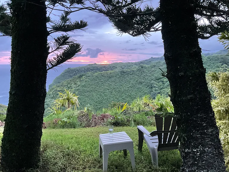Backyard view