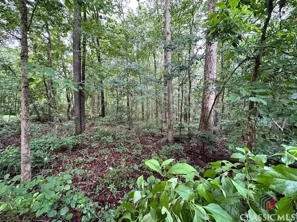 0 Nowhere Road, Nicholson, GA 30565