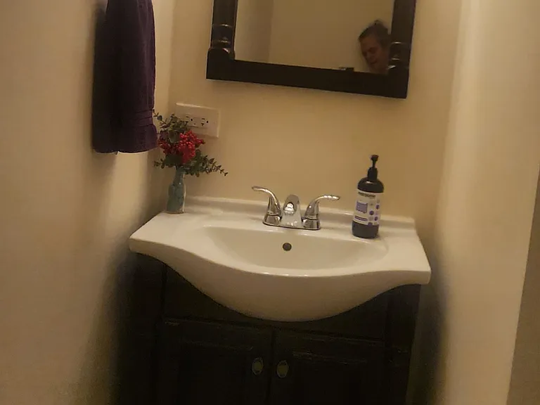 Master Bathroom includes a walk-in shower and vanity sink.