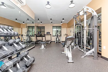 Rented by MySpaceNYC