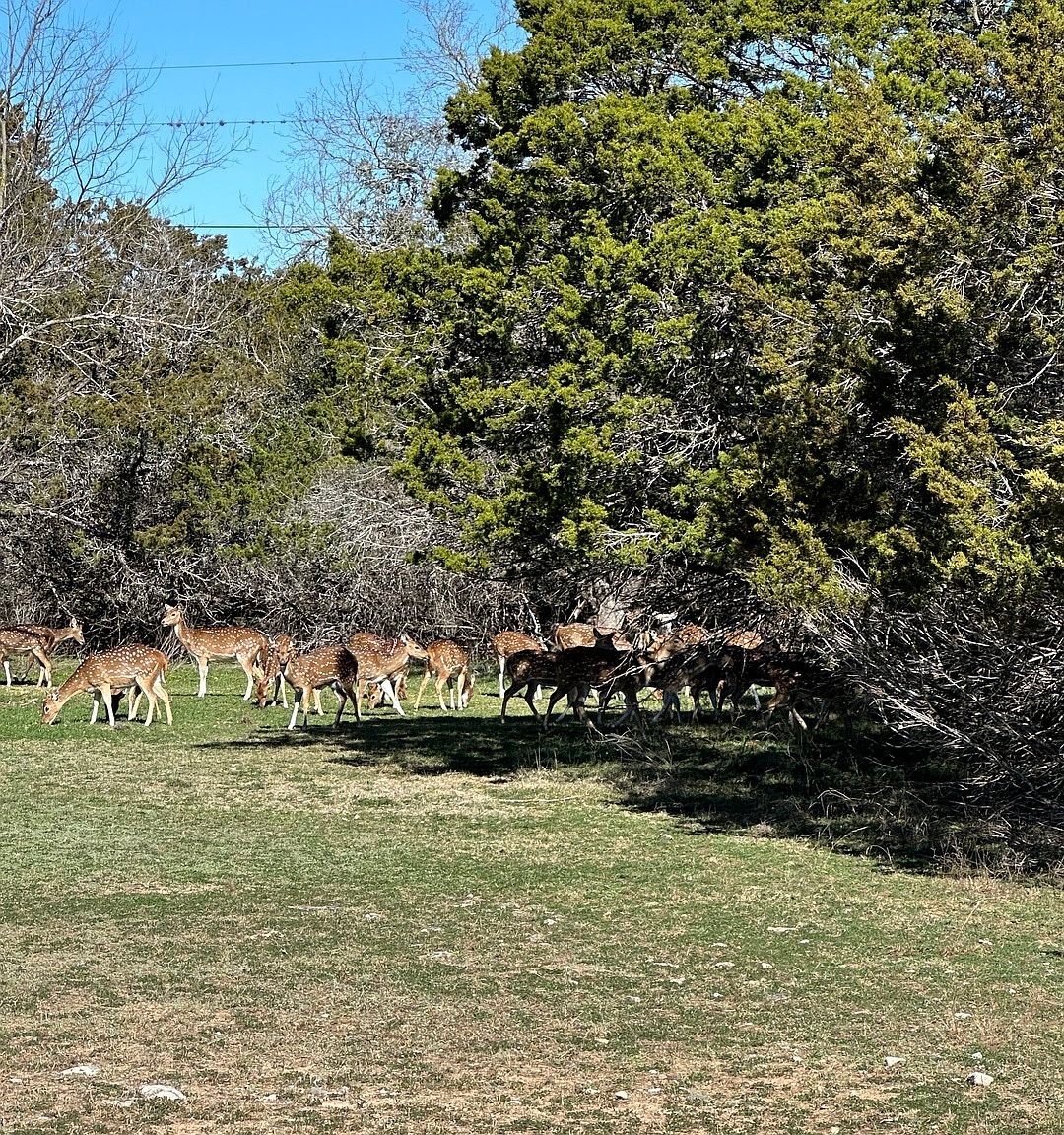 0 deerwood circle LOT 42