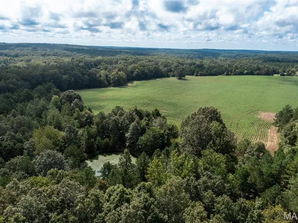 TRACT 2 Bcr 810 Gln, Glenallen, MO 63751