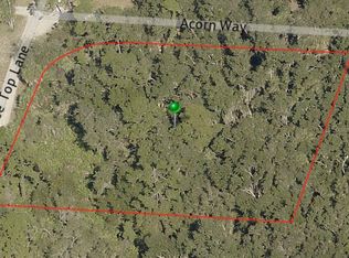 0 Tree Top Ln, Edgewater, FL 32141