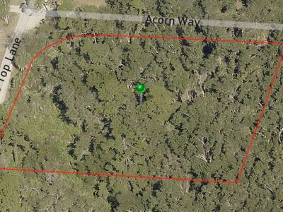 0 Tree Top Ln, Edgewater, FL, 32141