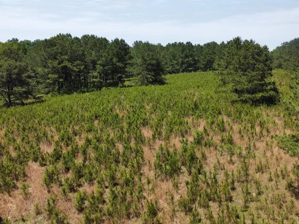 Scr #1B, Taylorsville, MS 39168