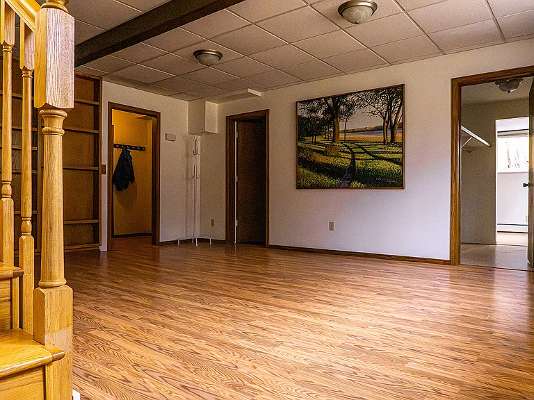 Downstairs rec room