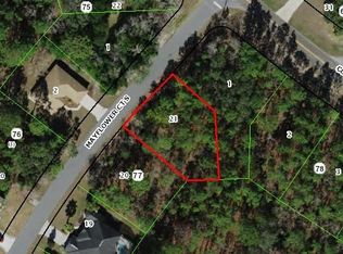 3 Mayflower Ct S, Homosassa, FL 34446