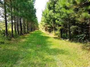 Frank Cribb Rd, Hemingway, SC 29554