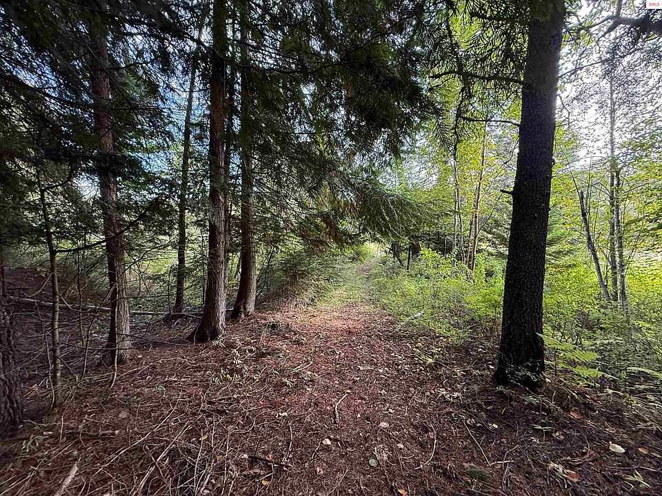 2nd image of 331 Fall Creek Rd