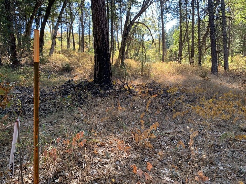 511 Bear Creek Rd, Lewiston, CA 96052 Zillow