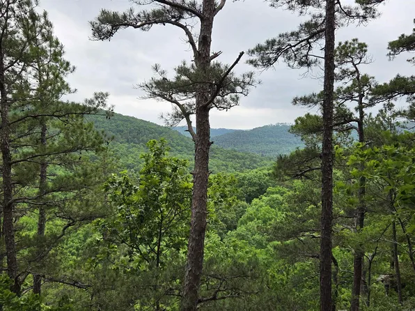 0 Angora Mountain Rd, Leslie, AR 72645