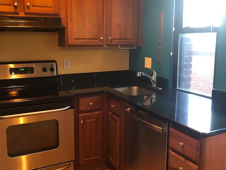 Kitchen - electric stove with glass top, sink, new extra-powerful disposal (2025), and new high quality very quiet dishwasher (2024). Window faces east, with nice morning light and sunrise view!