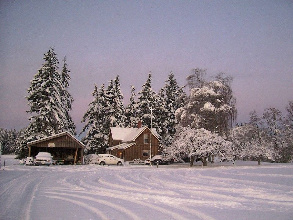 snowy farm