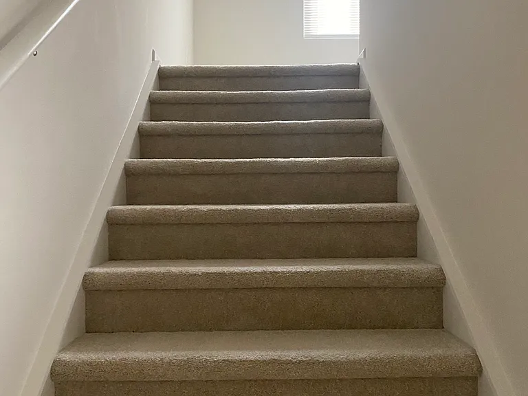149 Thicket Dr — Photo 10