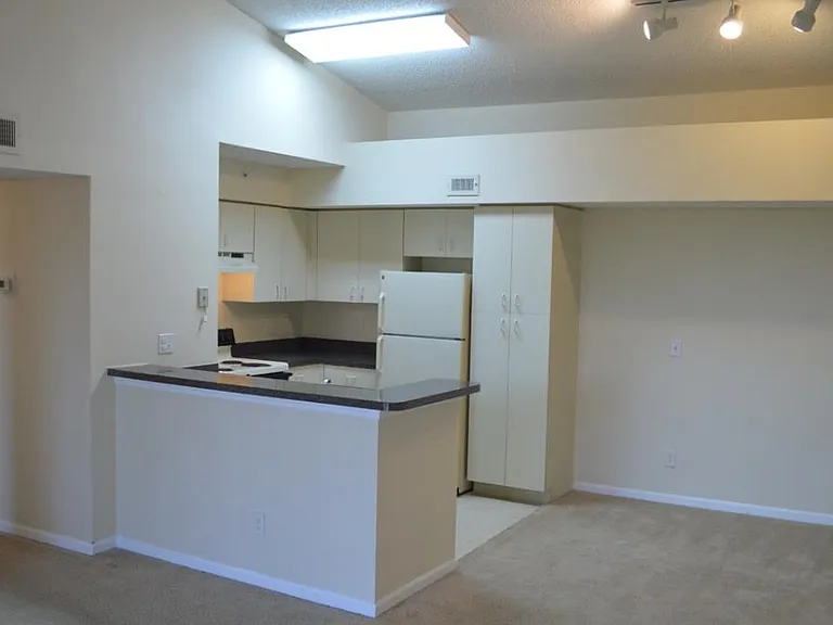 13631 Eagle Ridge Dr #236 — Photo 3