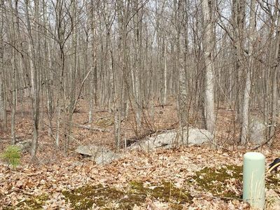 137 Wedgewood Dr, Hawley, PA, 18428