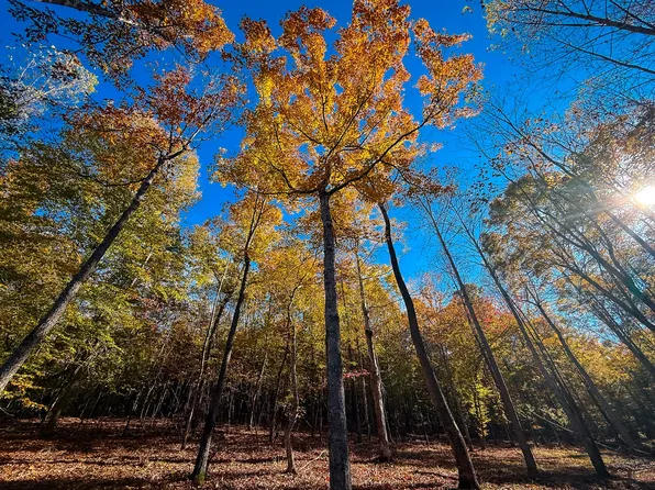 1 Highway 100 W Lot 1, Centerville, TN 37033