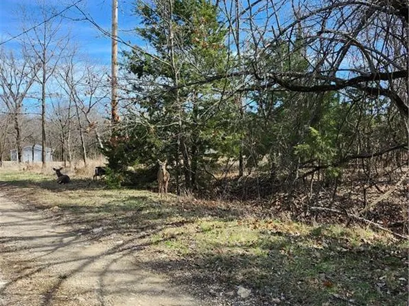 10 Scenic Valley Dr, Linn Valley, KS 66040