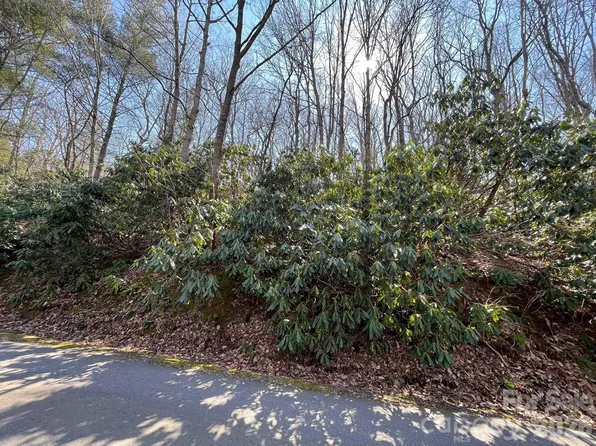 111 Deer Run Ln #40, Asheville, NC 28805
