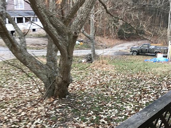 5th image of 145 Thomason Ln
