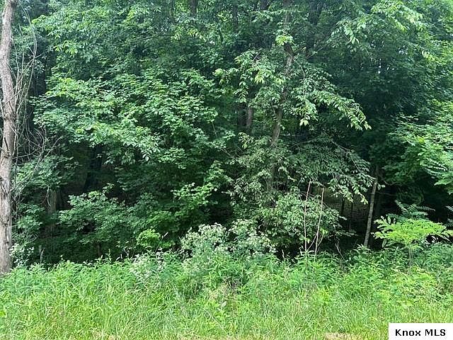 2nd image of 0 W Highland Dr #504